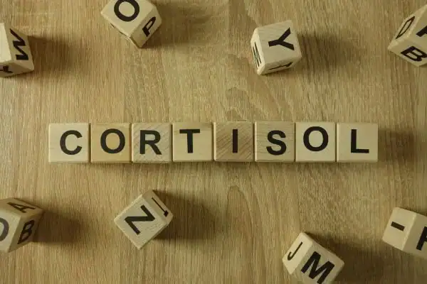 The Hidden Connection: How Stress Shapes Your Fitness and Body Composition 2 Image saying "Cortisol" and how stress Nantwich impacts your wellbeing and bodies shape